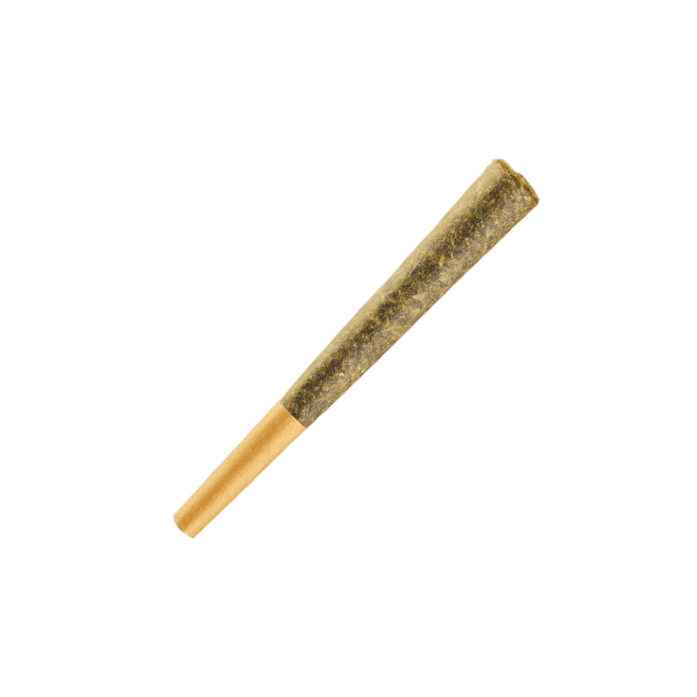 Korova - Holy Grail 1g