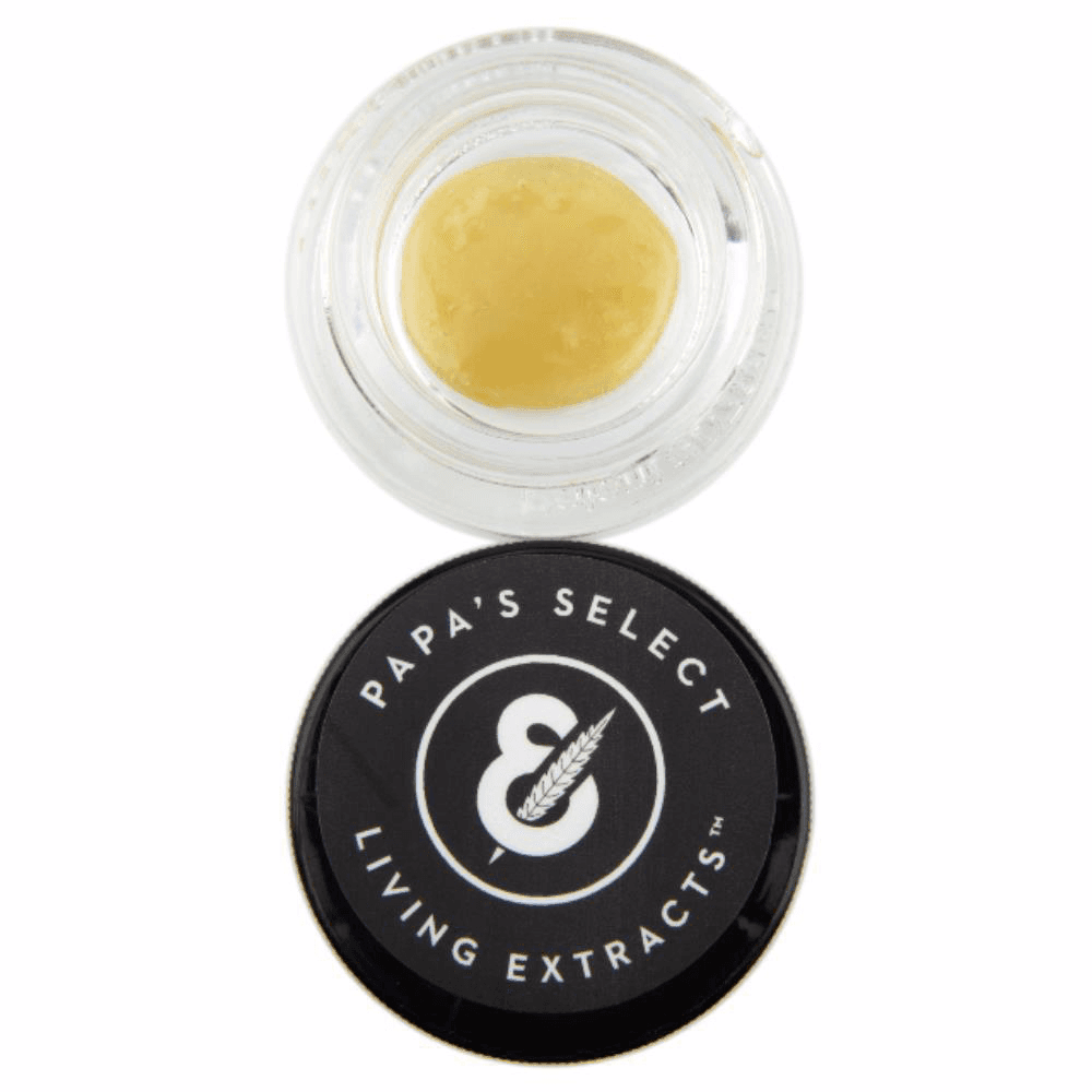 Papa & Barkley - Live Rosin Sauce Gargoyle Melon Berry 1g