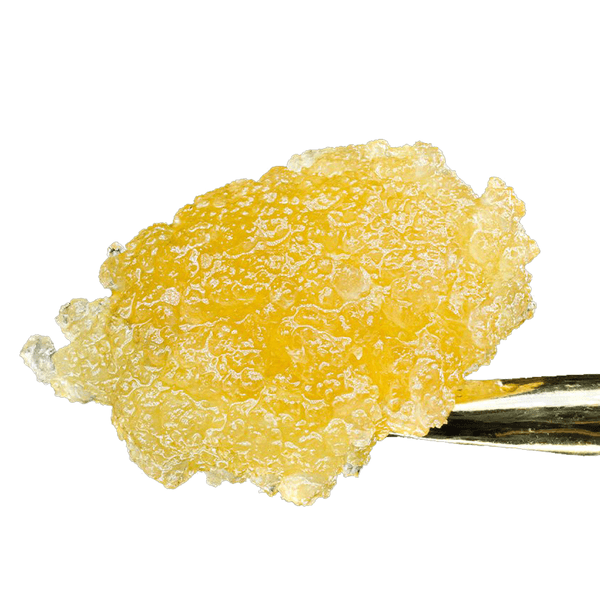 Maven - Black Diamond x Cold Cure Live Rosin 1g