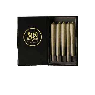 Maven - Orange Bellini Preroll 5pk