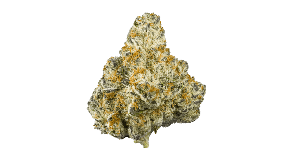 Maven - Goji Berry Runtz 3.5g