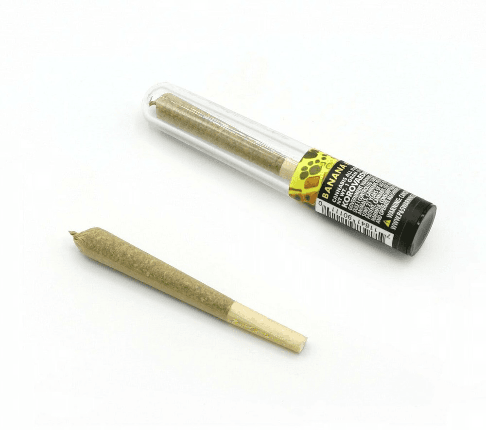 Korova - Banana Cake Preroll 1g