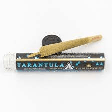 Ganja Gold - Blue Tarantula TriFi Cookies 1.2g