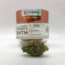 Lowell - Kush Mints 4g