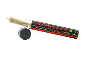 Ganja Gold - Red Tarantula Indica 1.2g